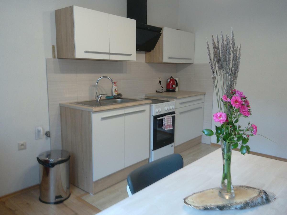 Apartman S Vyhladom Apartment เครมนิตซา ภายนอก รูปภาพ