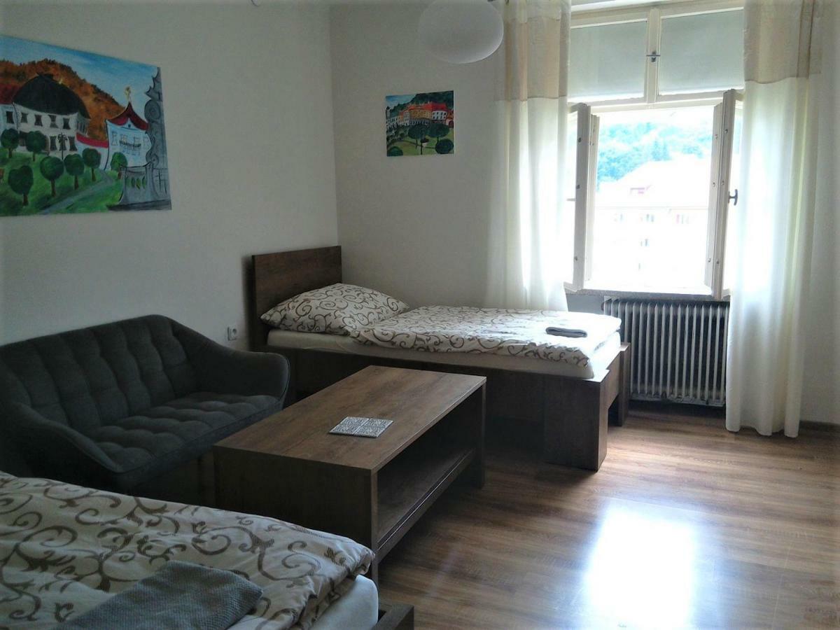 Apartman S Vyhladom Apartment เครมนิตซา ภายนอก รูปภาพ