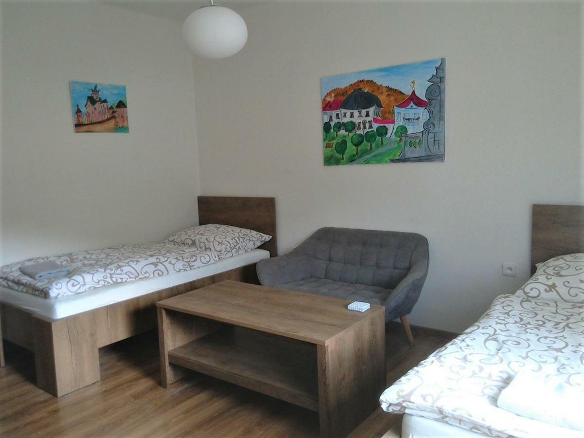 Apartman S Vyhladom Apartment เครมนิตซา ภายนอก รูปภาพ